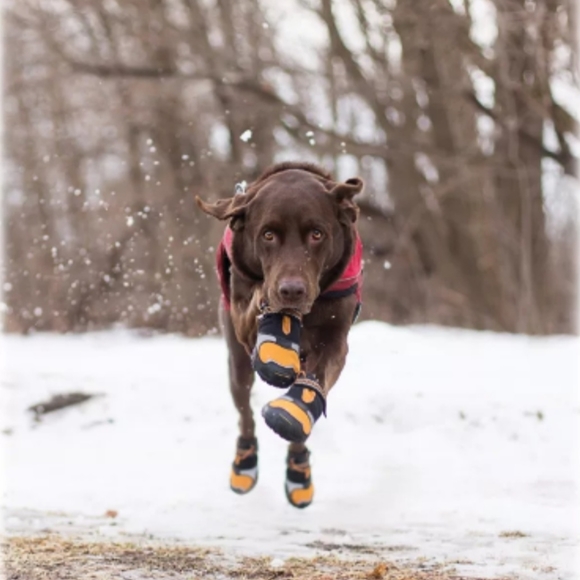 Kurgo Step-n-Strobe Dog Boot Set - Black/Orange - Picture 1 of 6